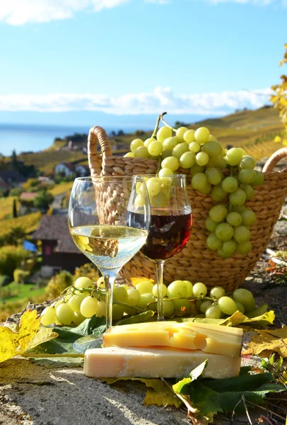 Víno a vinné hrozny v regionu Lavaux — Stock fotografie