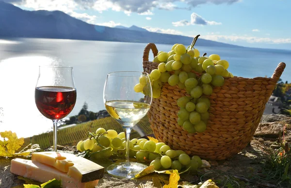 Vino y uvas en Lavaux —  Fotos de Stock