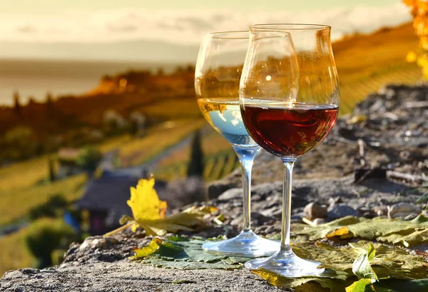 Vino y uvas en Lavaux — Foto de Stock