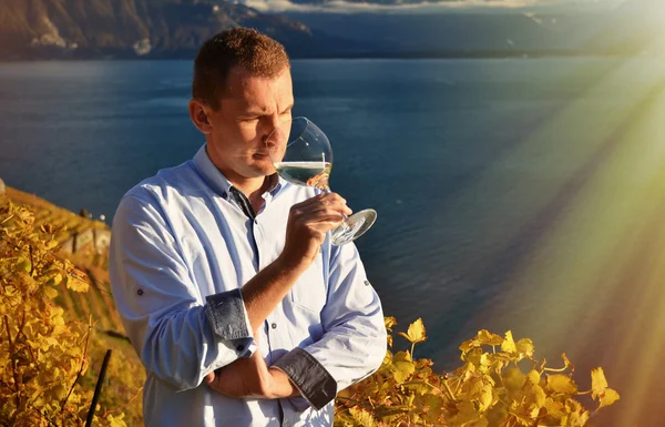 Uomo in possesso di un bicchiere di vino contro vigneti a Lavaux — Foto Stock
