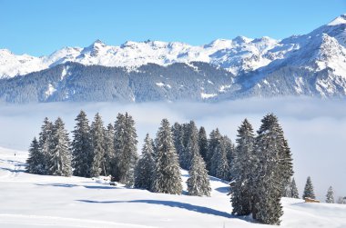 Braunwald, İsviçre de kış