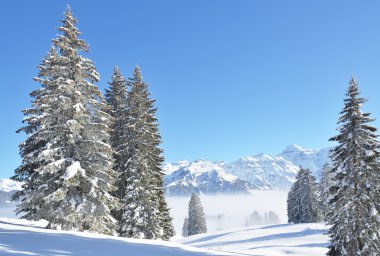 Braunwald, İsviçre de kış