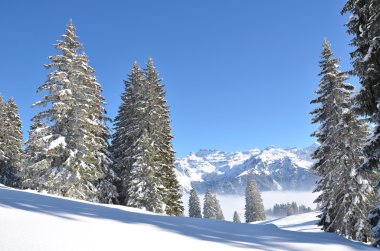Braunwald, İsviçre de kış