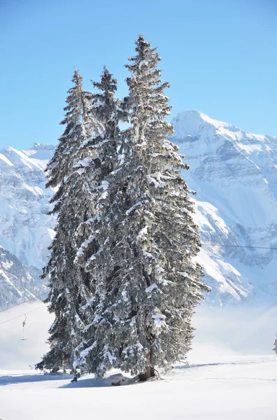 Braunwald, Switzerland at winter — Stock Photo, Image