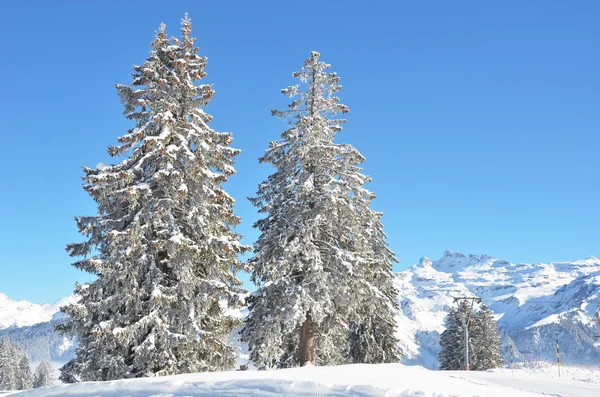 Braunwald, İsviçre de kış — Stok fotoğraf