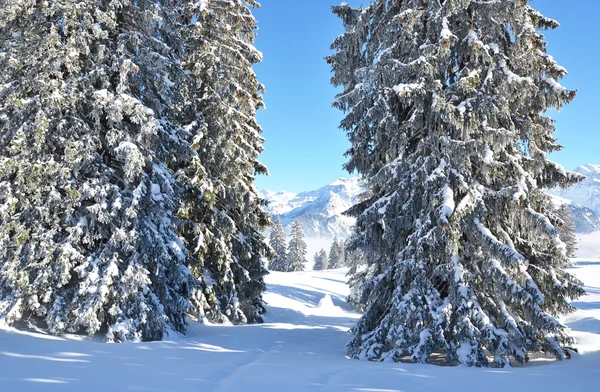 Braunwald, Schweiz i vinter — Stockfoto
