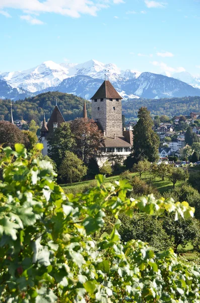 Prachtige kasteel Spiez, Zwitserland — Stockfoto