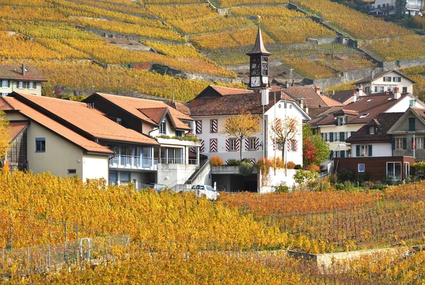 Weinberge in der Region Lavaux — Stockfoto