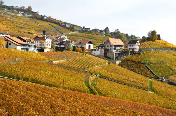 Viñedos en Lavaux —  Fotos de Stock