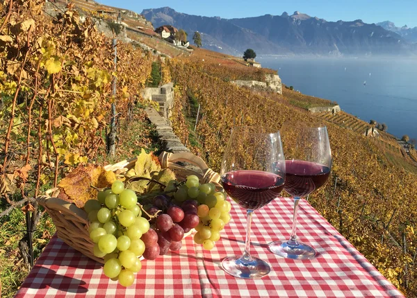 Vino y uvas. Lavaux. — Foto de Stock