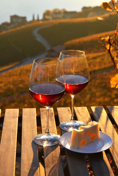 Wina i sery. Lavaux — Zdjęcie stockowe