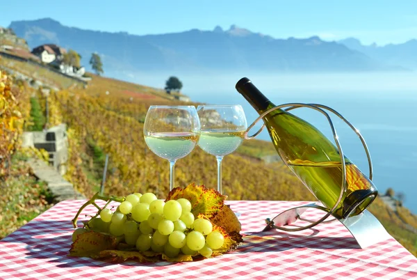 Wine and grapes  in Lavaux — Stock Photo, Image