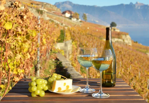 Vinhos em Lavaux, Suíça — Fotografia de Stock