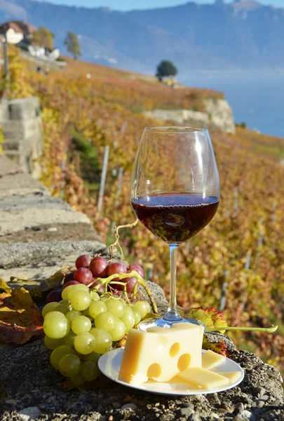 Red wine against vineyards in Lavaux — Stock Photo, Image