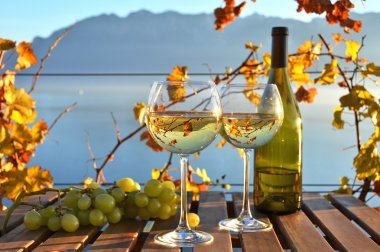 Şarap ve üzüm Lavaux içinde