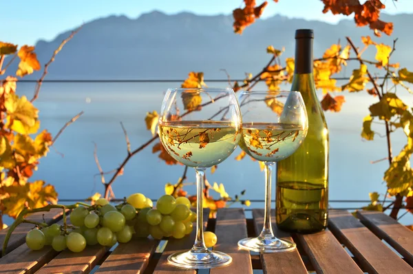 Vino y uvas en Lavaux — Foto de Stock