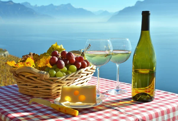 Wina i winogron z winnic — Zdjęcie stockowe