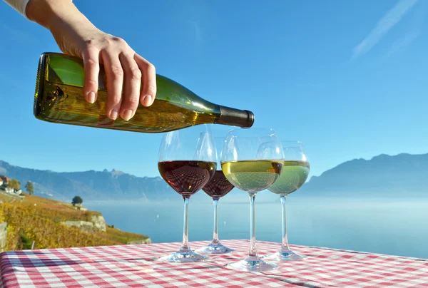 Vinho contra o lago Geneva . — Fotografia de Stock