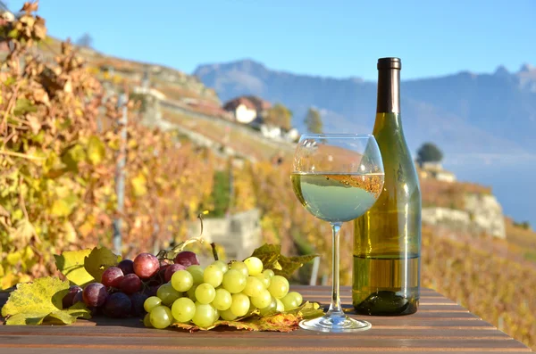 Vino y uvas frente al lago de Ginebra — Foto de Stock