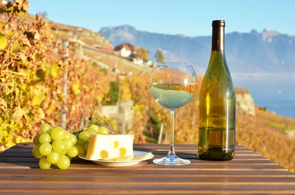 Wine and grapes  in Lavaux, Switzerland — Stock Photo, Image