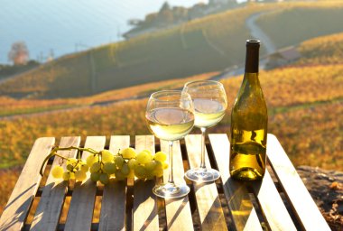 Lavaux üzüm bağları karşı şarap
