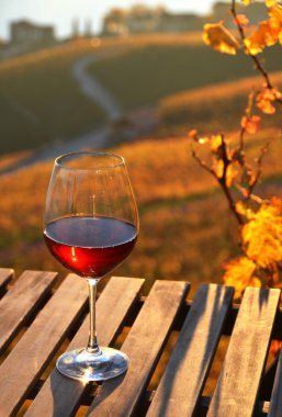 Lavaux üzüm bağları karşı şarap