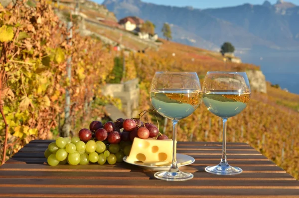 Wijn en druiven in Lavaux — Stockfoto