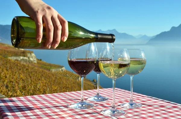 Вино против Женевского озера . — стоковое фото