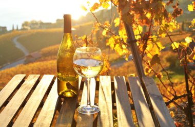 Şarap ve üzüm. Lavaux,