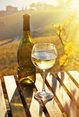 Şarap ve üzüm. Lavaux,