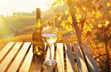 Şarap ve üzüm. Lavaux,