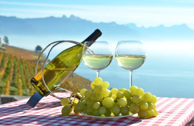 şarap ve üzüm karşı Cenevre Gölü