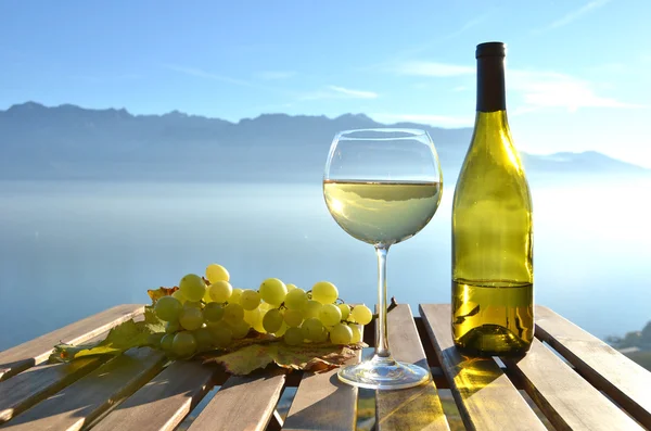 Vino y uvas frente al lago de Ginebra — Foto de Stock