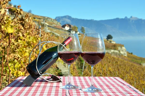 Vinho contra o lago Geneva — Fotografia de Stock