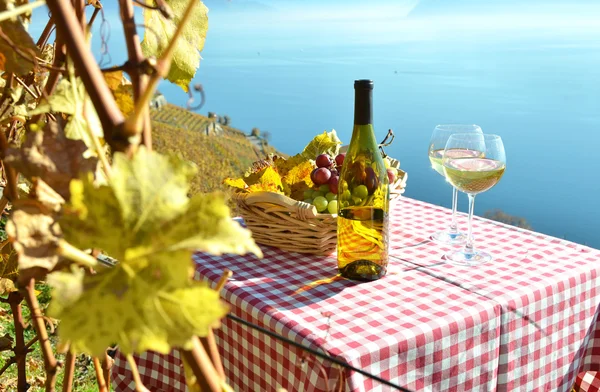 와인과 포도 제네바 호수에 대 한 — 스톡 사진