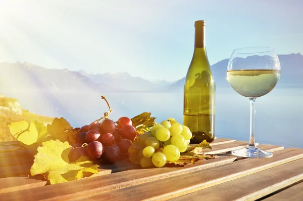 Wein und Trauben gegen den Genfer See — Stockfoto