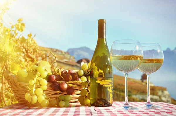 葡萄酒和葡萄。拉沃 — 图库照片