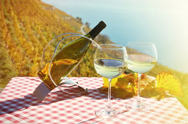 Vína proti Ženevské jezero. — Stock fotografie