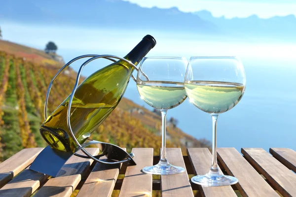 Wine against Geneva lake. — Stock Photo, Image