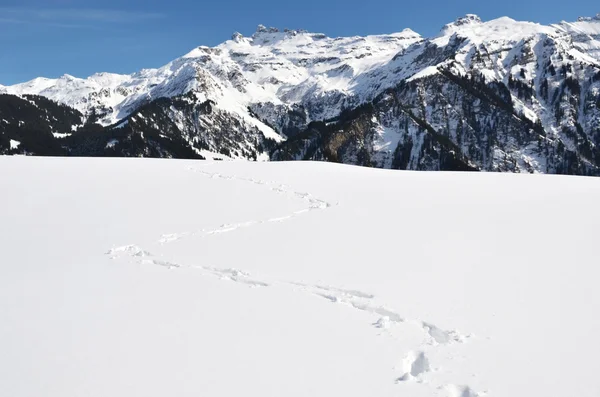 Voetstappen in de sneeuw. Zwitserse Alpen — Stockfoto