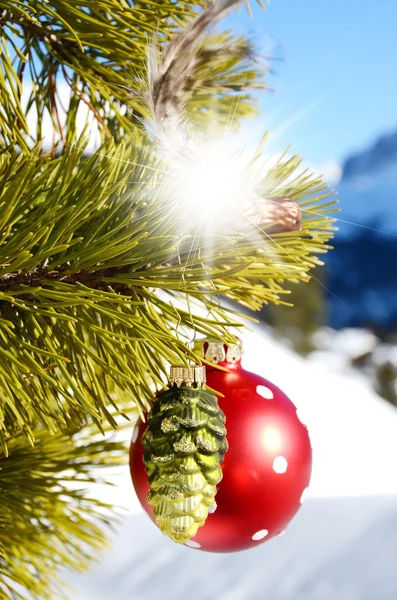 Albero di Natale con palla — Foto Stock