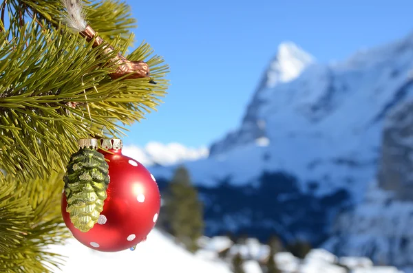 Weihnachtsbaum mit Kugel — Stockfoto