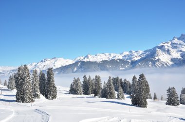 Braunwald, İsviçre de kış