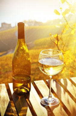 Şarap ve üzüm. Lavaux