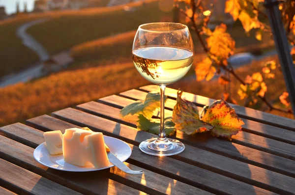 Víno a sýr proti Ženevské jezero — Stock fotografie