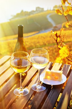 Şarap ve peynir Geneva Gölü karşı