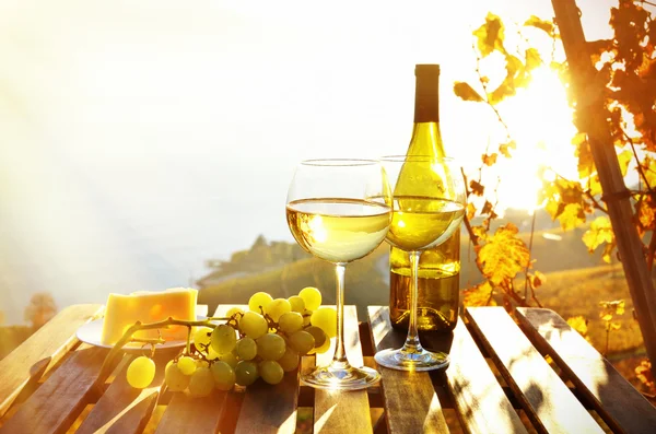 Víno a sýr proti Ženevské jezero — Stock fotografie
