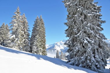 Braunwald, İsviçre de kış