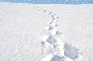 Footsteps on the snow in mountains clipart