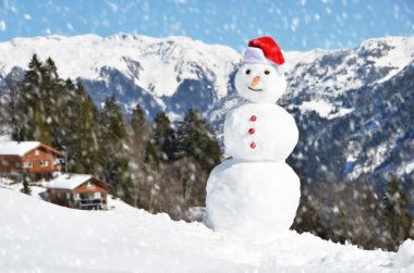 sneeuwpop tegen Alpenpanorama